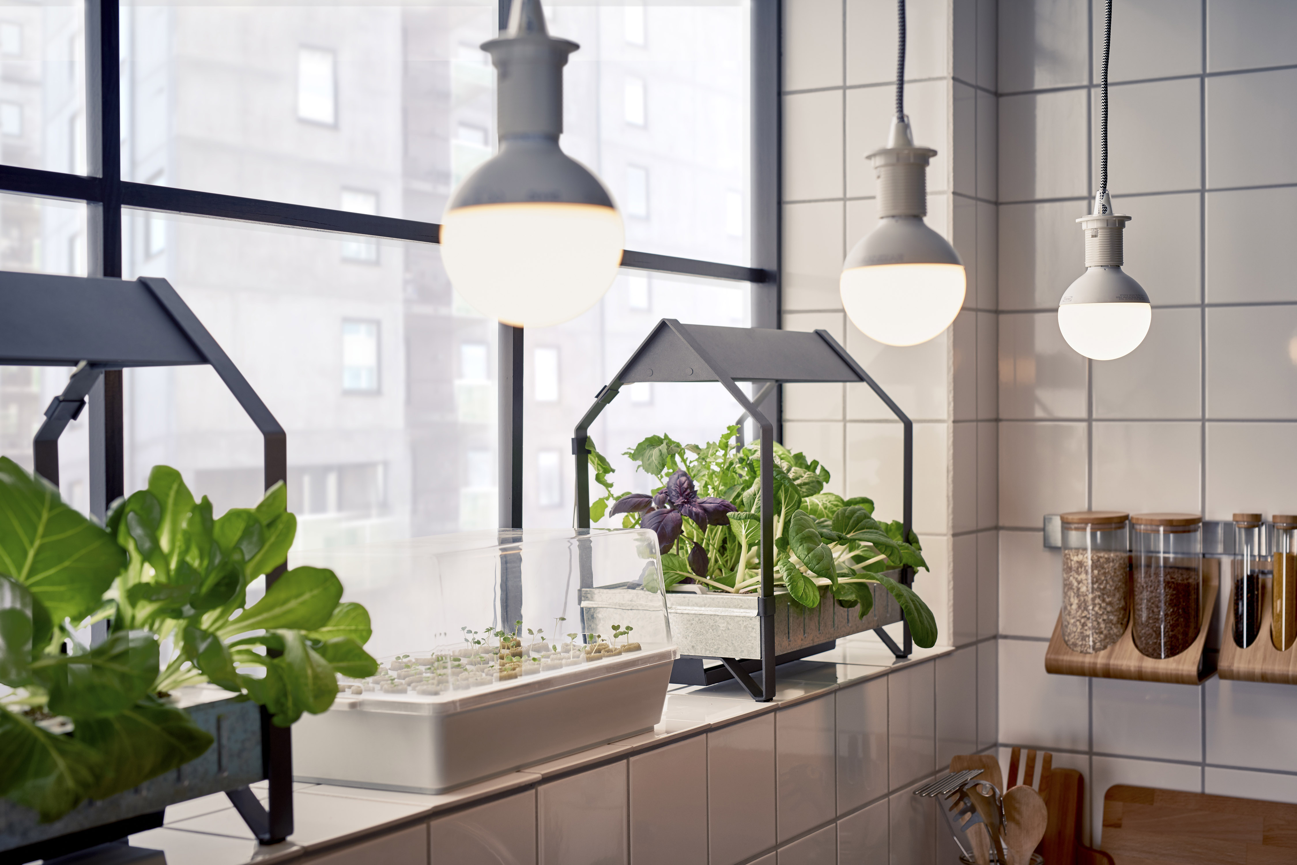 Uitsluiting vroegrijp pianist IKEA laat consument zelf thuis verse groenten en kruiden kweken